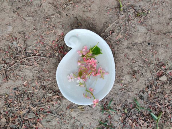 Fruit shape decorative marble bowl