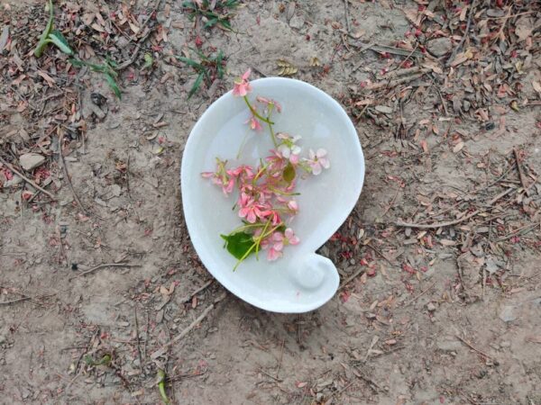 Fruit shape decorative marble bowl