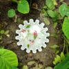 Decorative Marble Bowl