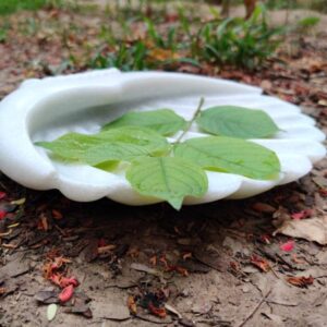 Decorative marble tray