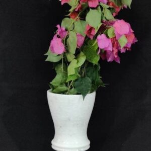 Flower vase vintage