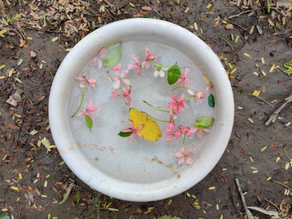 vintage bowl