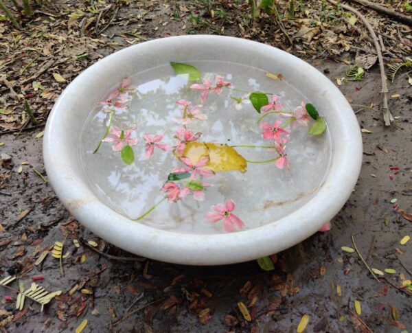 vintage bowl