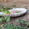 Decorative marble bowl