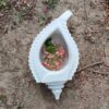 Pair of two vintage bowl antique Lotus bowl