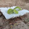 Decorative marble bowl