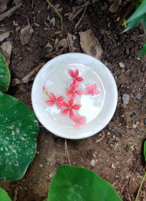 Decorative marble flower bowl with pedestal