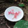 Decorative marble flower bowl with pedestal