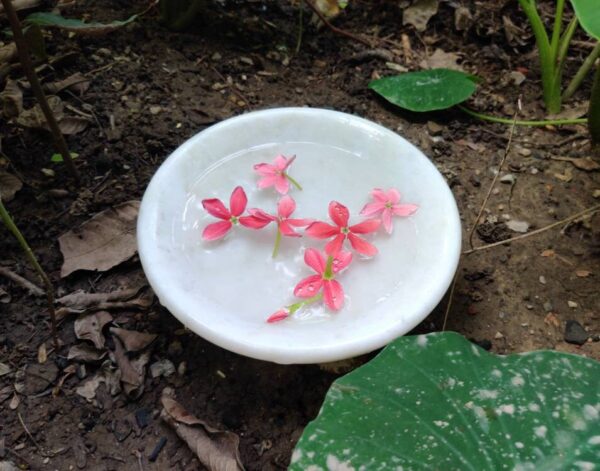 Decorative marble flower bowl with pedestal