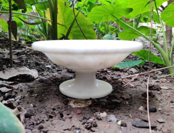 Decorative marble flower bowl with pedestal