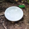 Decorative marble flower bowl with pedestal