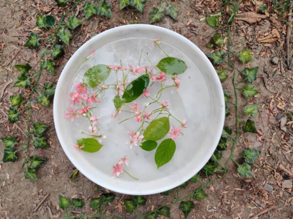 Vintage bowl