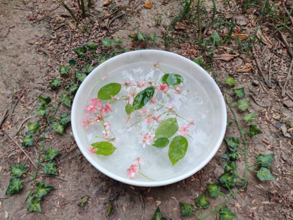 Vintage bowl