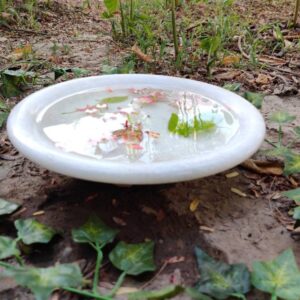 vintage bowl antique bowl