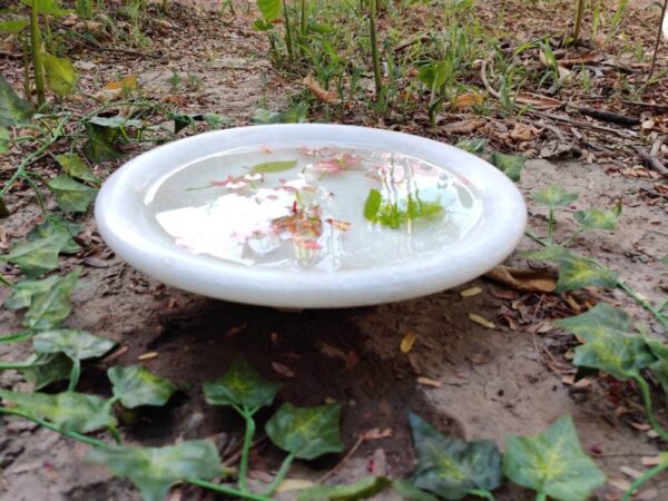 vintage bowl antique bowl