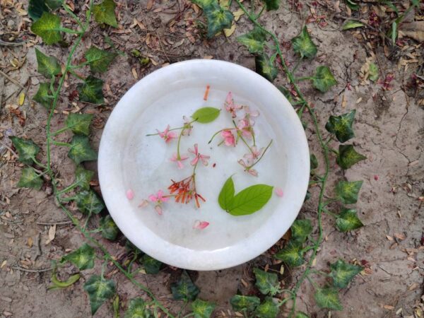 vintage bowl antique bowl