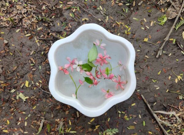 12 cm deep decorative bowl