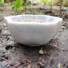 12 cm deep decorative bowl