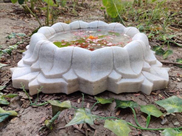 Lotus bowl fruit bowl