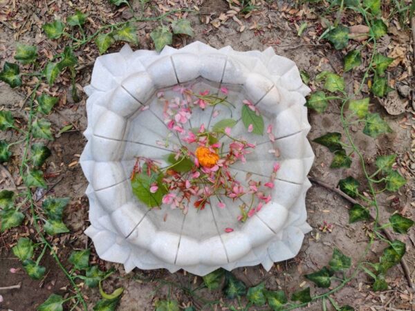 Lotus bowl fruit bowl