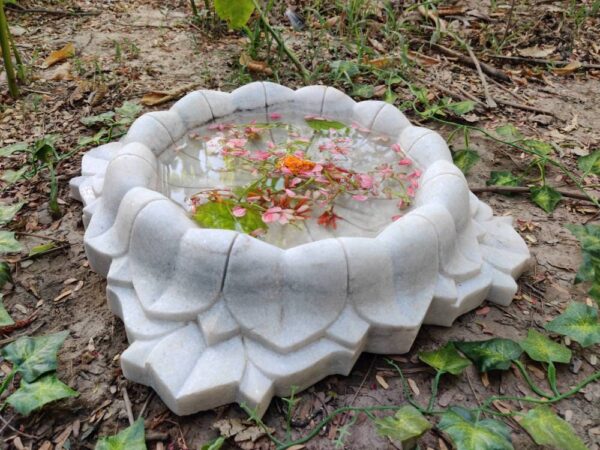 Lotus bowl fruit bowl