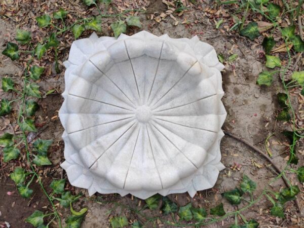 Lotus bowl fruit bowl