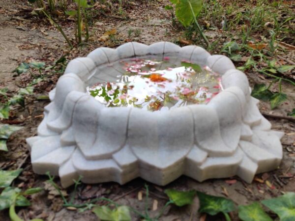 Lotus bowl fruit bowl