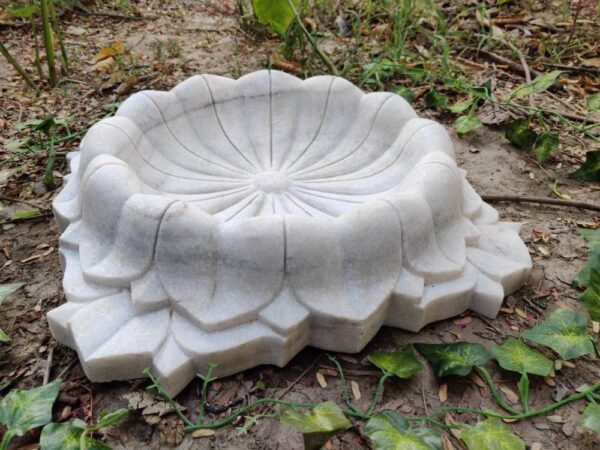 Lotus bowl fruit bowl