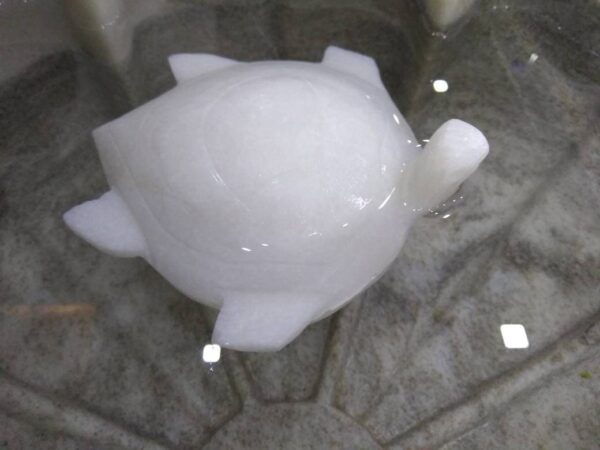 Decorative marble floating tortoise