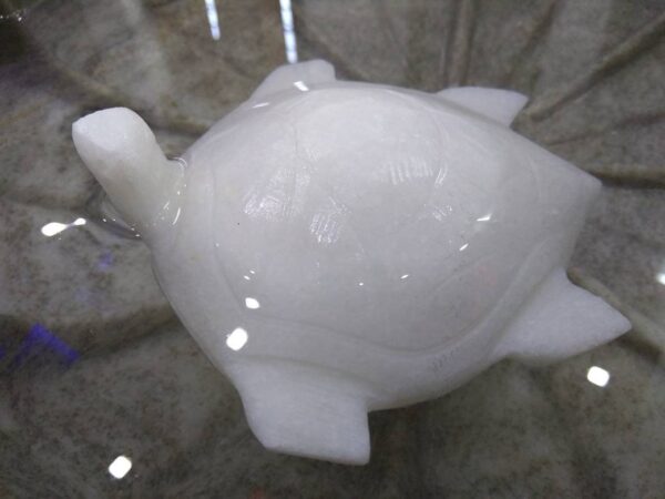 Decorative marble floating tortoise