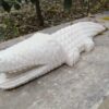 White marble hand carved crocodile