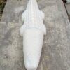 White marble hand carved crocodile