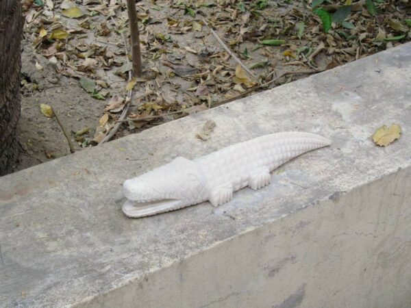 White marble hand carved crocodile