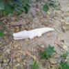 White marble hand carved crocodile