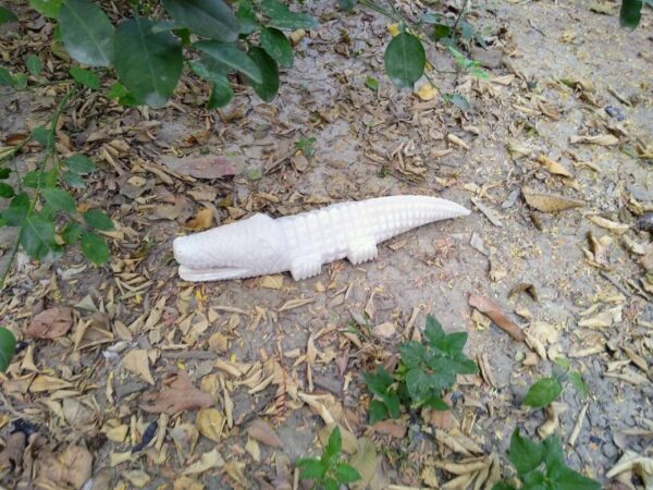 White marble hand carved crocodile