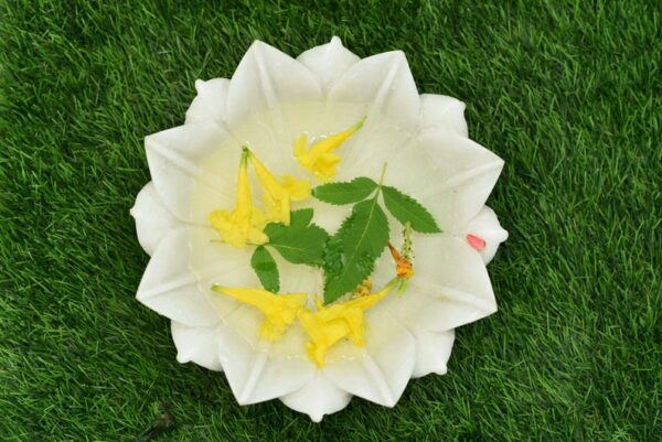 Decorative Marble flower bowl