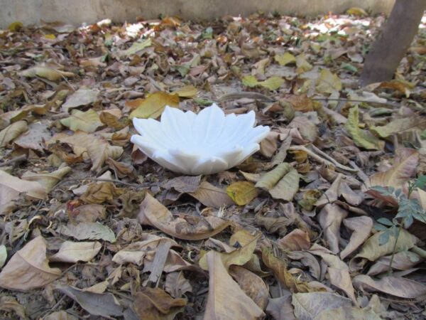 Decorative Marble flower bowl