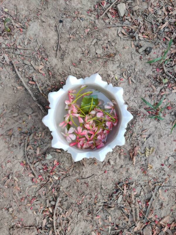 Decorative marble bowl